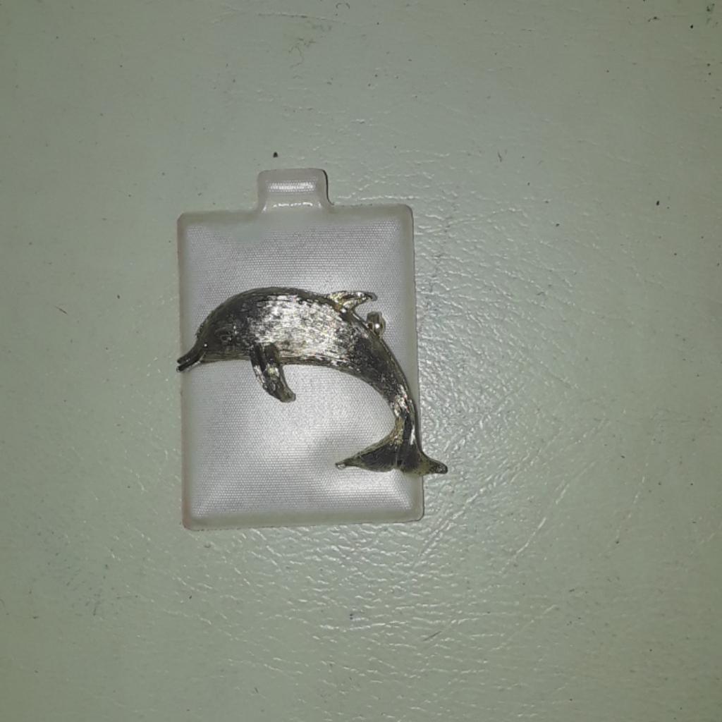 Dolphin Pin